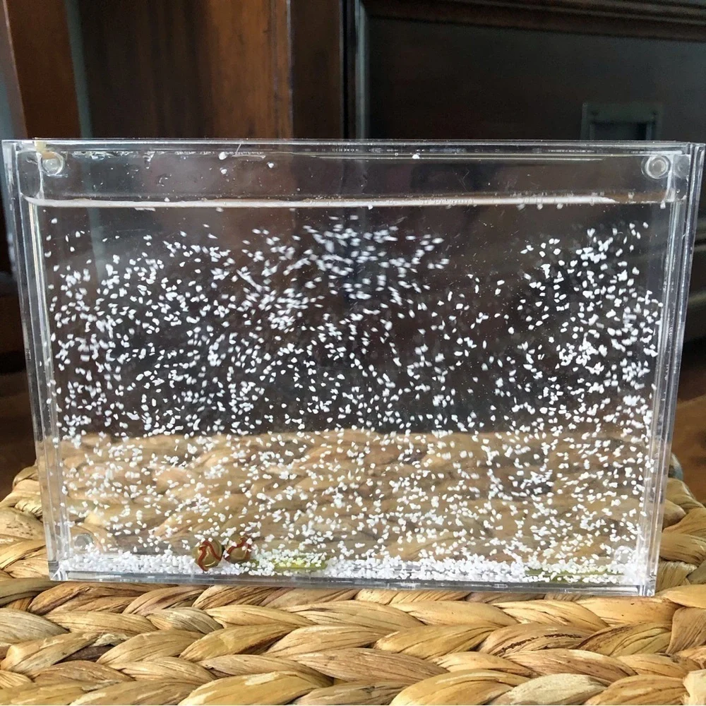 Polar Express Acrylic snow globe picture frame 4x6